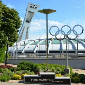 Homa By Olympic Stadium Auberge-hostel Canada